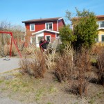 DSCN1230.jpg